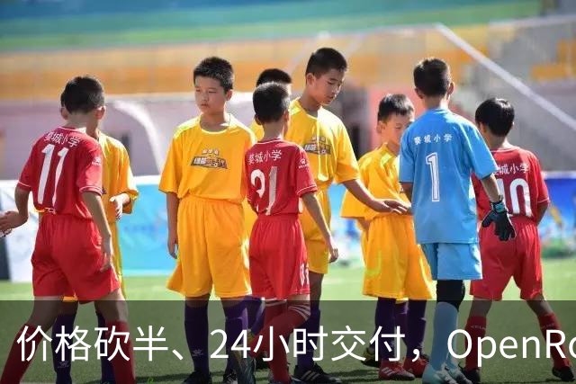 价格砍半、24小时交付，OpenRouter上线批量接口